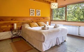 Apart Hotel Altos de Antilhue
